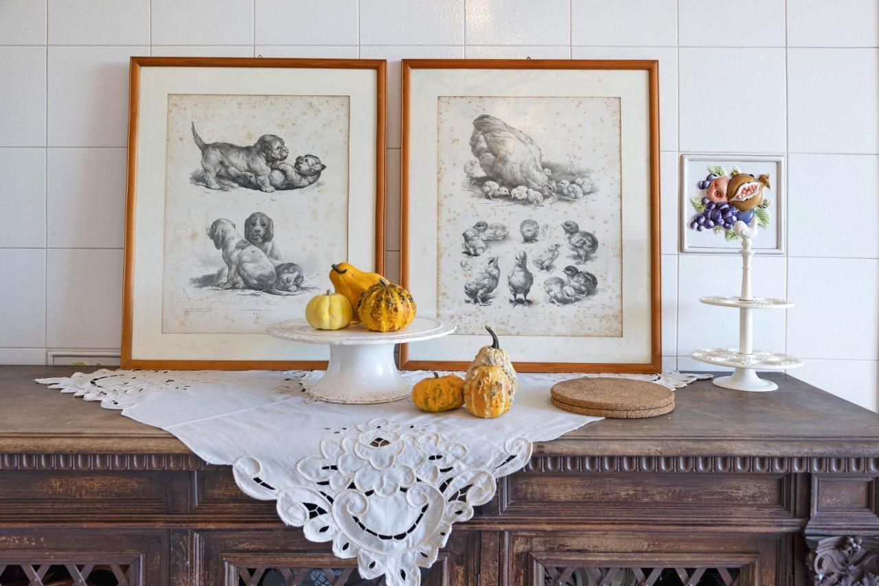 Residenza Stoechas White Daire Albenga Dış mekan fotoğraf